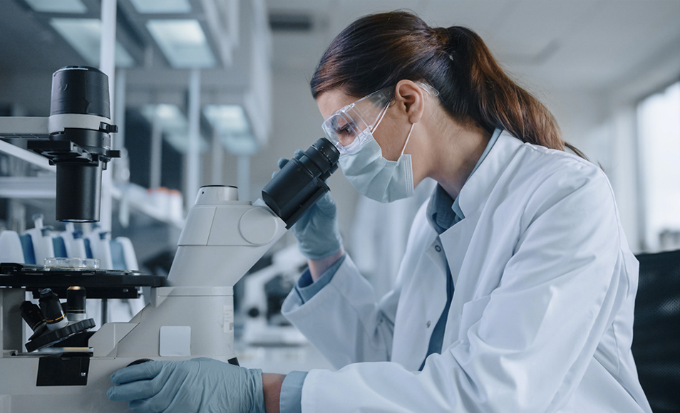 Jiangsu sulong Eco-Technologies Co, Ltd.